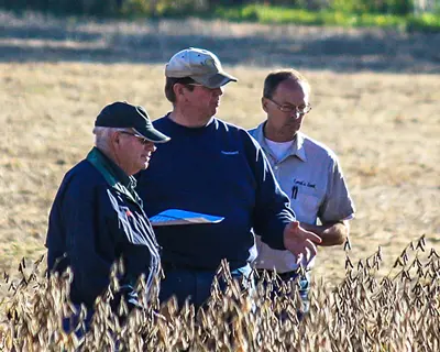 Agronomists overseeing soybean production.