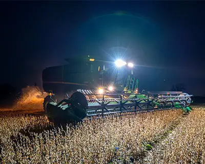 Harvesting soybeans at night with a combine.